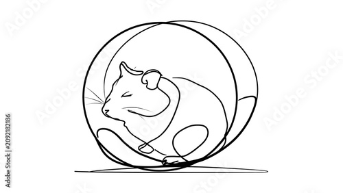 Sleeping mouse in hamster wheel white background.