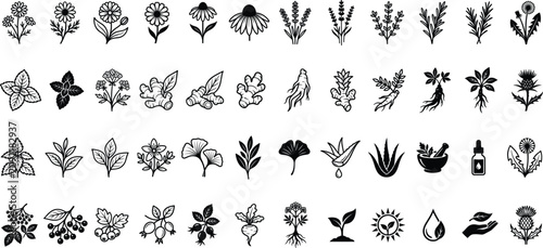 Medicinal Herb and Botanical Icon Collection with Plants, Roots and Wellness Symbols