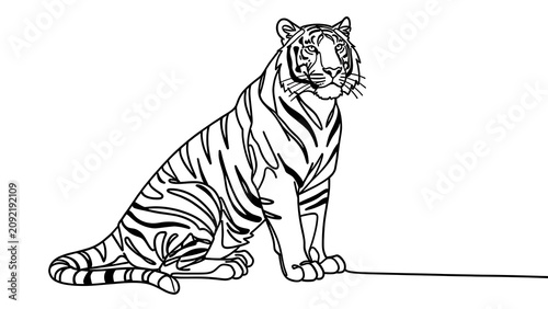 Sitting tiger illustration on white background.
