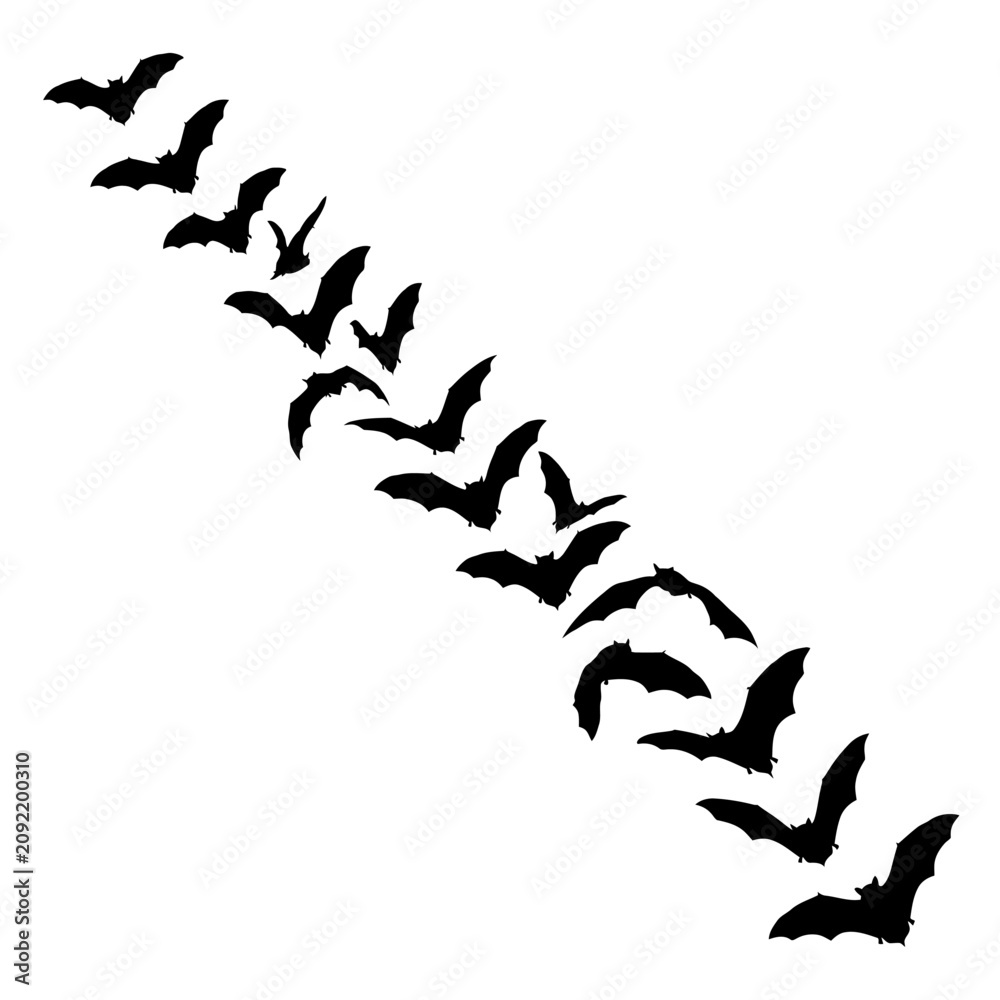 Obraz premium Halloween event Black silhouette Flock of birds, flying birds, bird migration, black silhouettes isolated on White Background eps