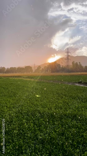 Sunlit Rain Over Green Agricultural Field with Mountains at Golden Sunset.