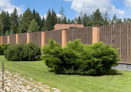 Landscaped residential garden with Juniperus sabina shrubs, mountain pine bushes, green lawn 