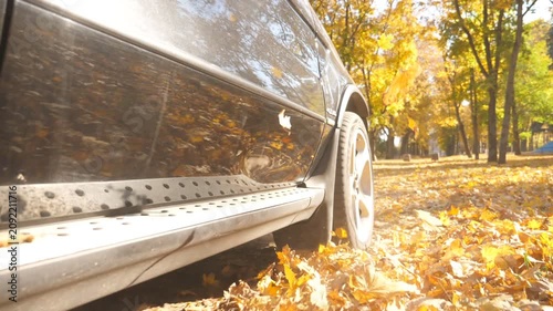 Wheel of powerful car driving on park road over yellow autumnal leaves in sunny day. Colorful autumn foliage flies out from under wheel of automobile. SUV crossing through empty road. Slow motion