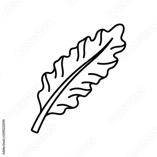 Konstfotografi Detailed drawing of a single leaf.