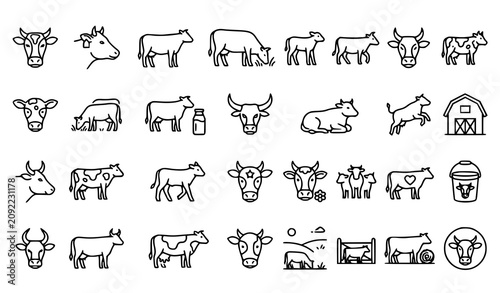 Cow and dairy farm illustrations