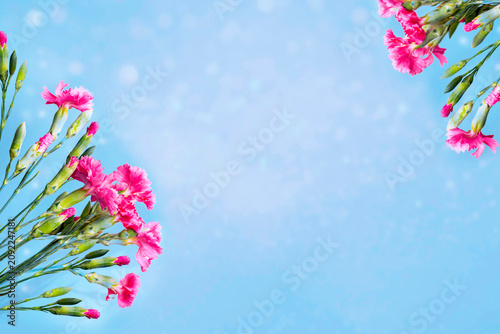 Frame. Bouquet of carnation flowers on a blue background. Natural floral pattern. Space for text.