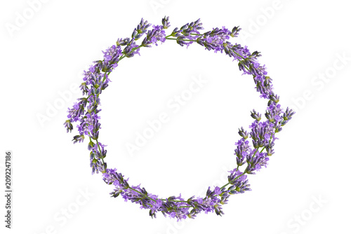 Round frame of lavender flowers isolated on white background.