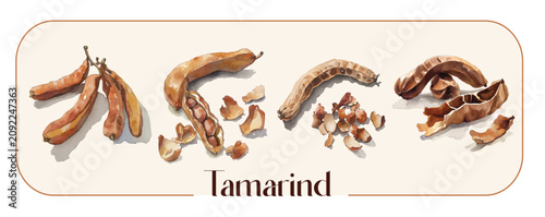 Bild auf Leinwand A Collection of hand-painted whole tamarind pods painting designs, Hand-painted