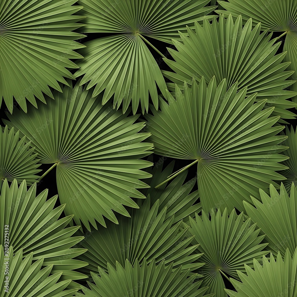 Fototapeta premium Close up view of green palm tree leaves in sunlight.