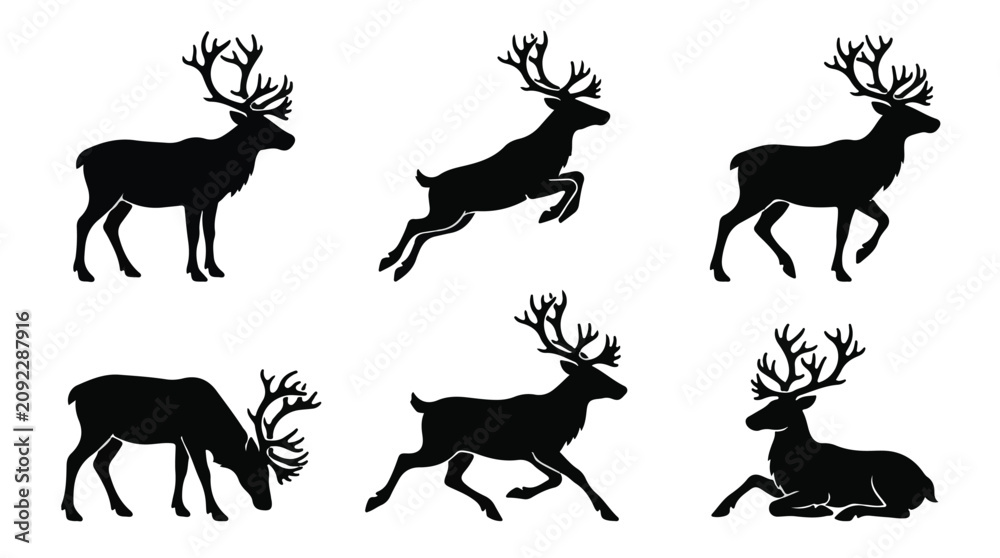 Obraz premium A set of six Reindeer in various poses silhouette vector illustration on a white background 