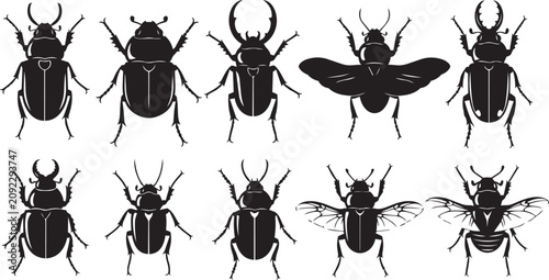 Foto Collection of black beetle silhouettes against a white background with spread wi