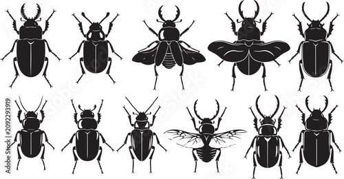 Bild auf Leinwand Collection of black beetle silhouettes on white background representing insect d