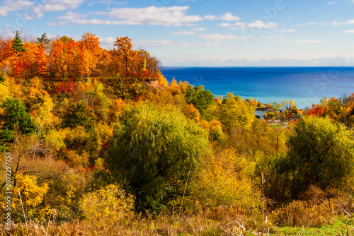 Photography Autumn landscape