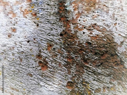 Old wall background 