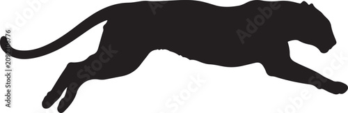 Photography Leopard jumping silhouette on white background.