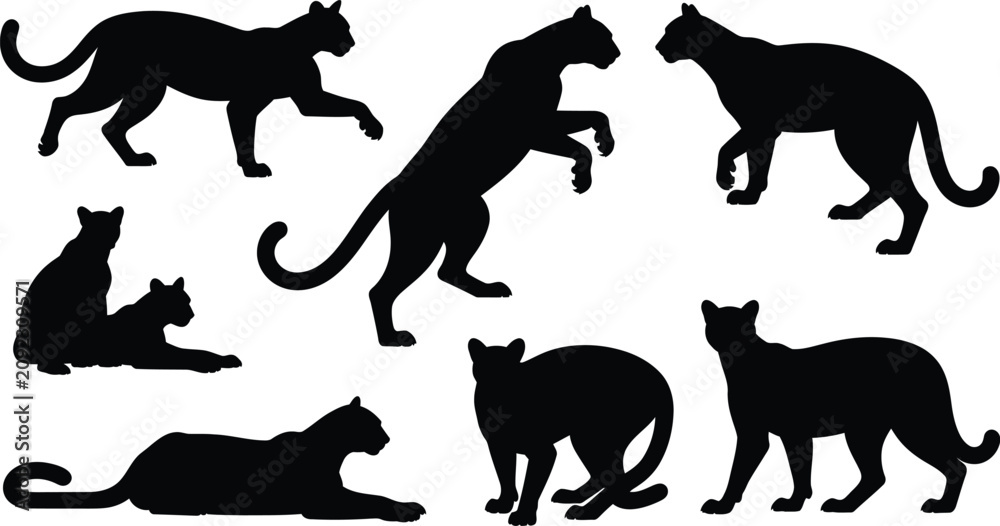 Obraz premium Collection of black raven silhouettes in flight graphic design element