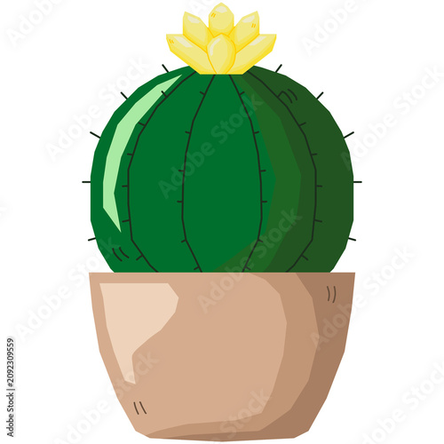 Cute cactus in a pot illustration