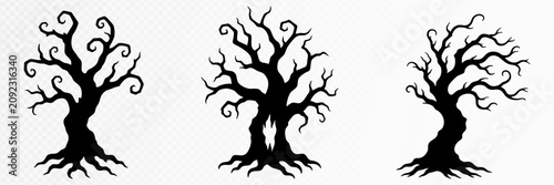 Cuadro en lienzo Collection of three eerie leafless trees with tangled curling branches and expos