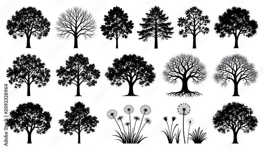 Fototapeta premium Detailed oak maple and bare branch tree silhouette vector pack