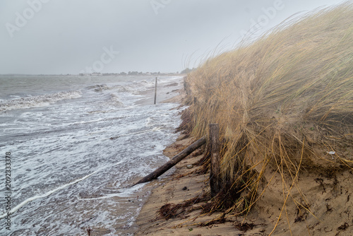 Tempête sur une dune côtière avec pluie et fort vent sur les oyats, érosion et recul de la dune. La Guérinière, Noirmoutier, France