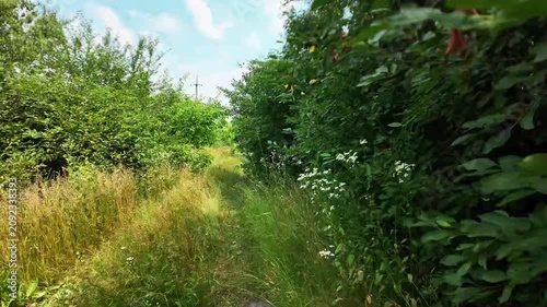 First-person perspective walking along a narrow, sunny path overgrown with green grass, bushes, and wild flowers on a bright summer day