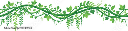 Fotografia Tropical jungle liana vine vector banner featuring tangled green rainforest cree