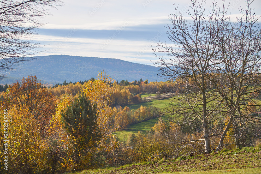 Fototapeta premium Picturesque autumn landscape with colorful yellow forest and green valleys.