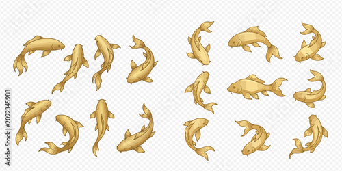 фотографія Set of golden koi fish illustrations in various swimming positions, isolated on a transparent background, representing good luck and prosperity