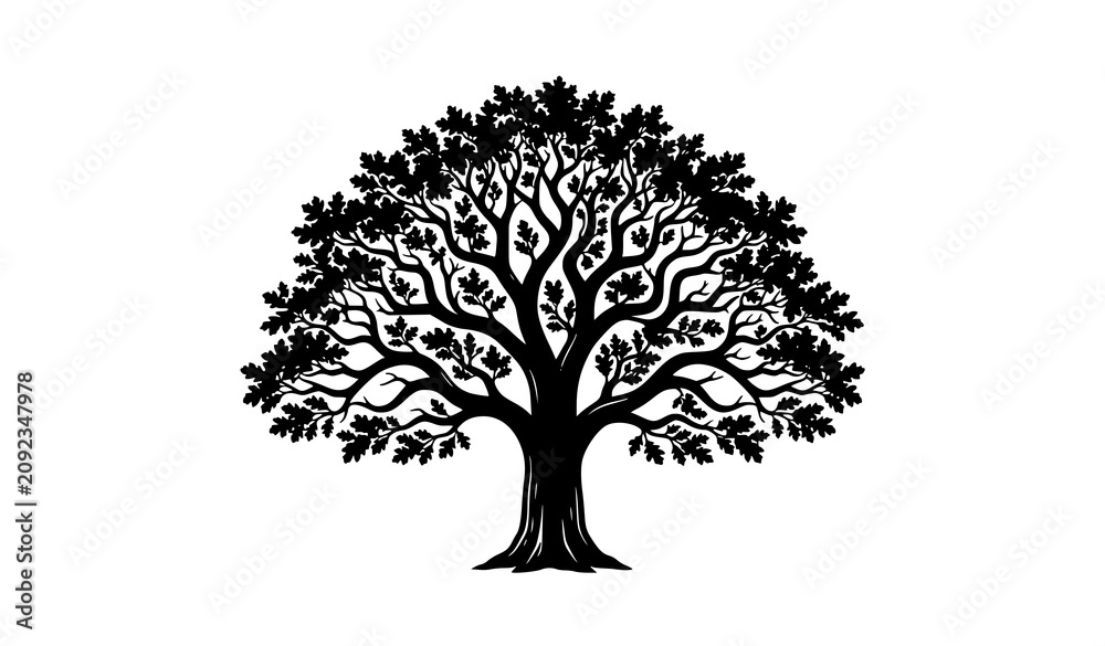 Obraz premium oak, tree, silhouette, logo, icon, nature, forest, botanical, plant, leaf, leaves, branch, trunk, wood, ecology, eco, natural, symbol, growth, environment, organic, woodland, garden, landscape, evergr