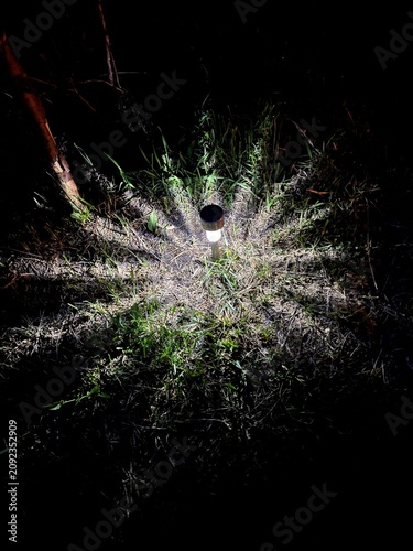 Garden lantern burning in the dark. Rays of light spread across the lawn from the lantern.