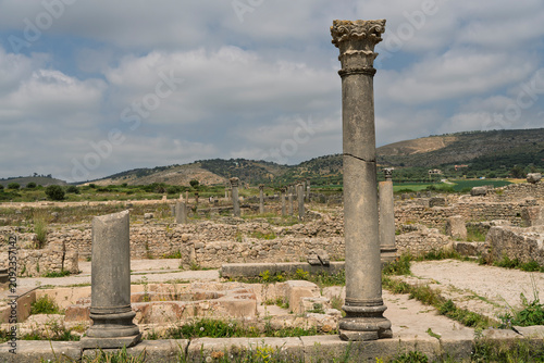 Obraz na płótnie Peristyle Column in the House of the Labours of Hercules, Volubilis, Morocco