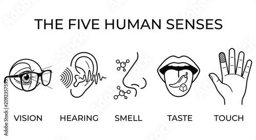 Tableau sur toile Five human senses illustrated with icons for vision hearing smell taste and touc
