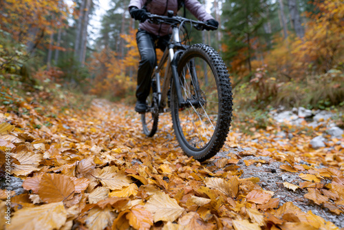 Cyclist rides through golden autumn leaves. Forest floor crunches under bicycle tires. Person moves slowly along leafy trail. Falling leaves create cozy, earthy scene. Ideal for nature, outdoor