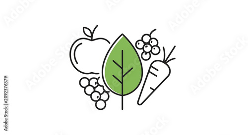 Hand Drawn Pear and Apple Illustration with Leaf and Seeds Vector Line Art