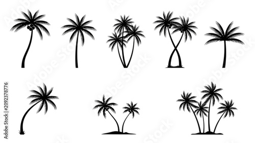 Tableau sur toile Collection of palm trees in different poses with tropical vibe
