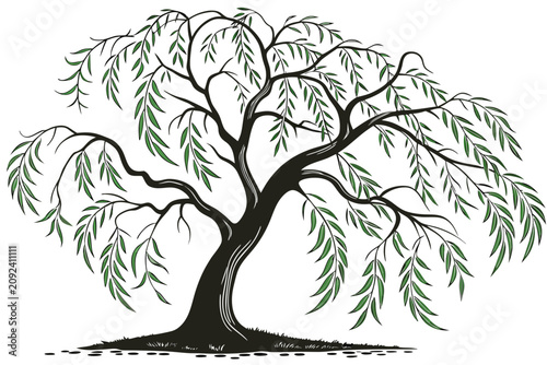 A large willow tree with green leaves and sprawling branches on a small mound of grass and dirt vector illustration design