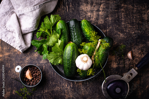 Fotografie Preparation of marinated salty pickled cucumbers