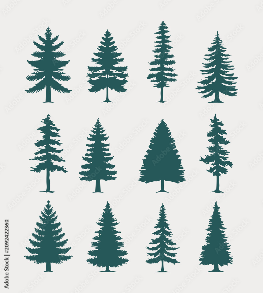 Obraz premium pine tree silhouette collection with green forest design set