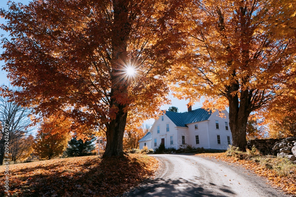 Naklejka premium The House in Autumn Sunlight on a Winding Country Lane