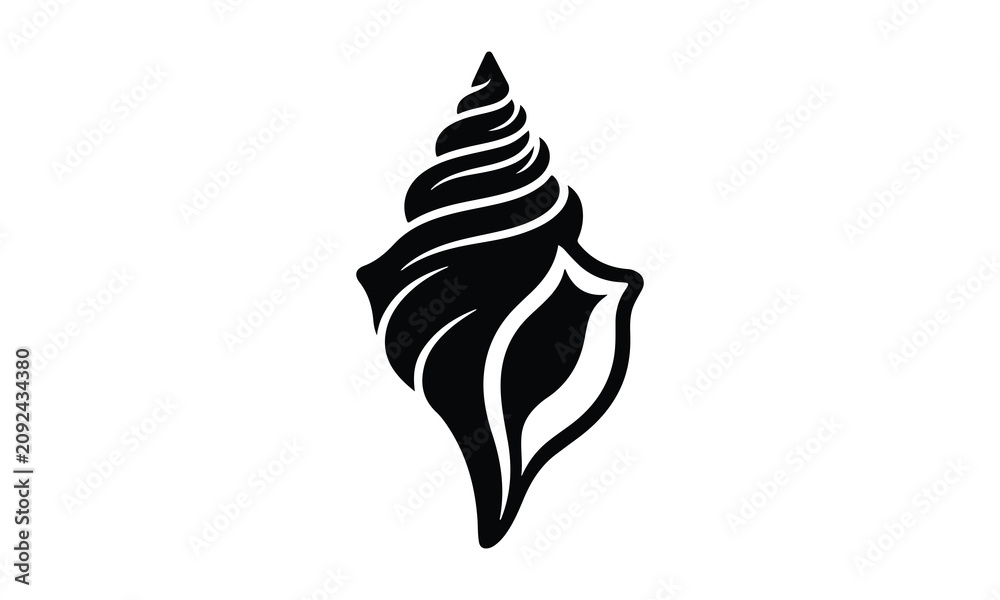 Obraz premium Black and white illustration of a conch shell
