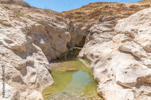 A pool of water near Nahal Rahaf-Rahaf Stream in the Judean Desert in Israel.
