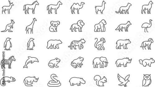 Photography Minimalist Wild Animal Line Icon Vector Set Featuring Zoo Wildlife Mammals Birds