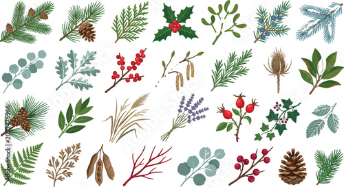 Schilderij op canvas Christmas Winter Botanical Foliage Greenery Vector Icon Set Featuring Pine Cones