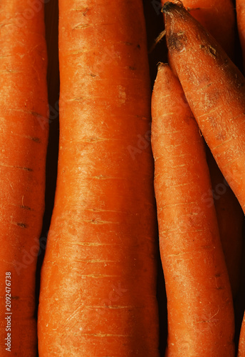 Fresh Carrot Texture Background, Organic Orange Vegetable