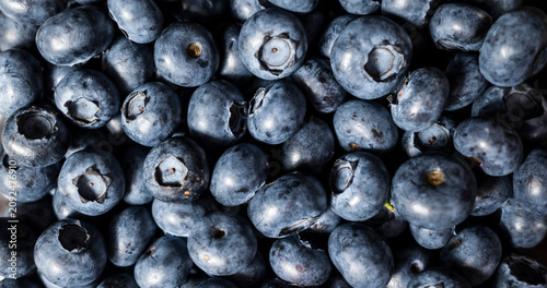 Fresh Blueberry Texture Background, Ripe Organic Berry