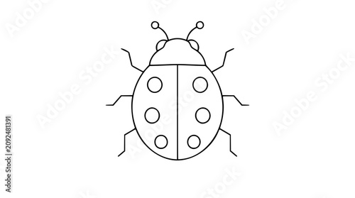 Foto A charming black and white line art vector icon of a ladybug, wonderfully suited for children's educational materials, nature-themed designs, or garden product labels