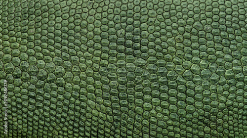 Close up shot of ultra realistic green snake skin or lizard scales texture