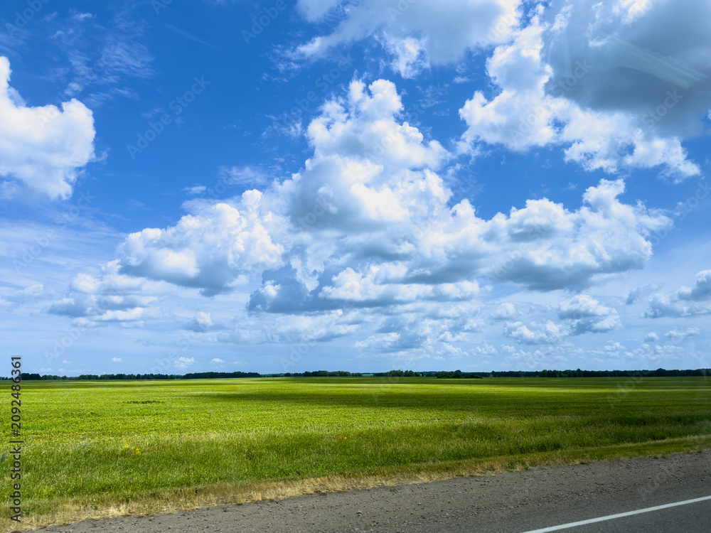 Obraz premium A horizontal wide-angle shot captures an expansive vibrant green field stretching to the horizon under a beautiful bright blue sky filled with fluffy white cumulus clouds, viewed from a roadside