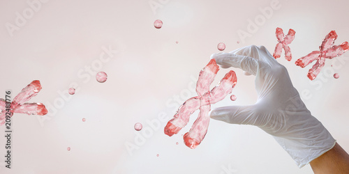 Fotografía Structure of a X chromosome, centromere, telomere