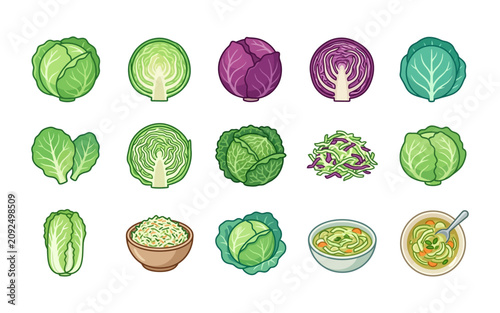 Cabbage and Coleslaw Vector Icon Set